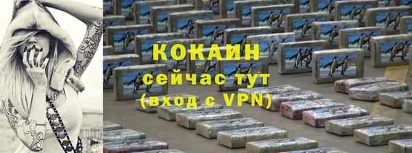 дмт Пестово